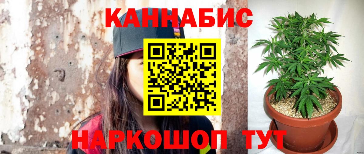 Энгельс  Бошки Шишки индика  Канабис White Widow  Шишки марихуана OG Kush  Вход с VPN  Бошки Шишки индика 